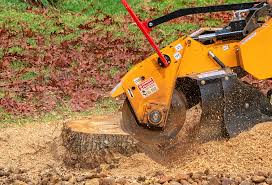 Best Lawn Maintenance Plans  in University Place, WA